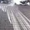 Don’t Wait, Get Roof Washing For Your Home!